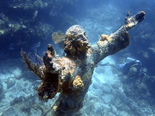 33407624 John Pennekamp Coral Reef State Park Water Wonders Jesus Ampueda