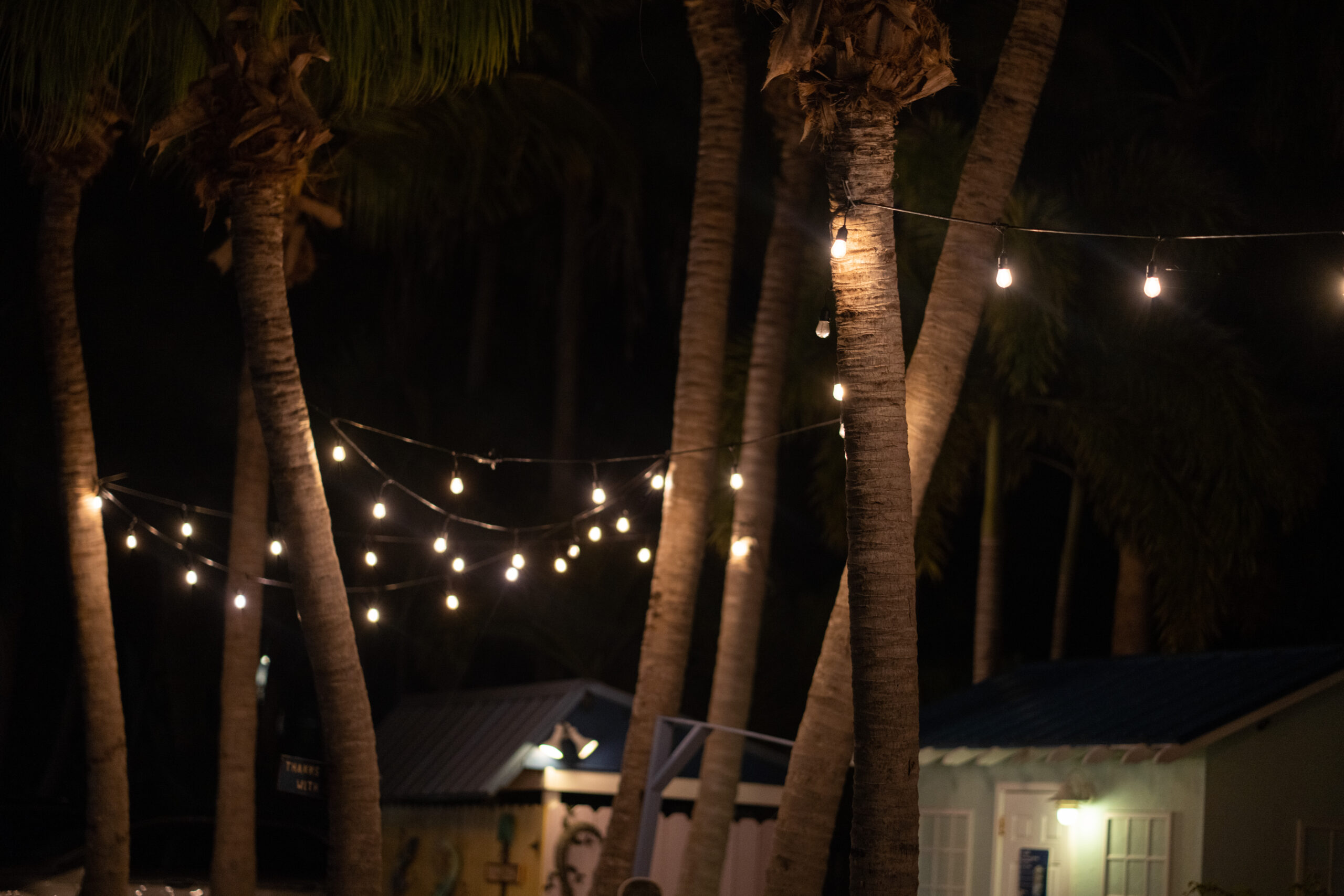 Photo Jan 18 2023 8 58 29 PM scaled