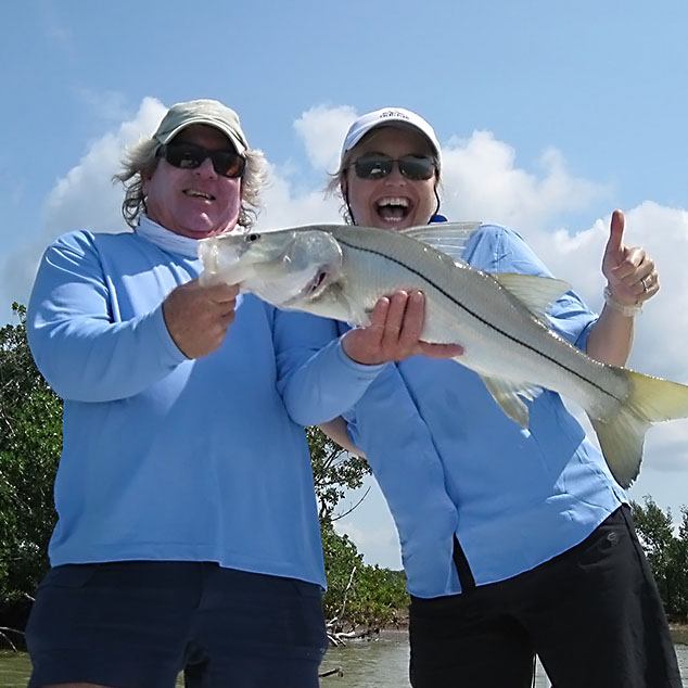 tails up images small about 1