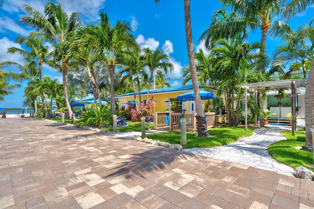 DSC01896 897 898 899 900